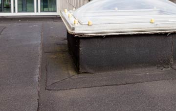 disadvantages of Goodmayes flat roofs