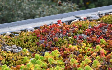 the cost of Goodmayes green roof installation