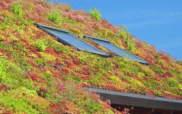 Goodmayes living roof systems