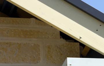 soffit repair Goodmayes