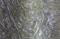 Goodmayes fibreglass roof work